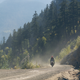 Illustration for article titled Ferries, Bears And Adventure Bikes In British Columbia